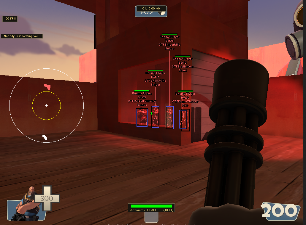 TF2 ESP with player boxes, skeletons, health, class, and distance